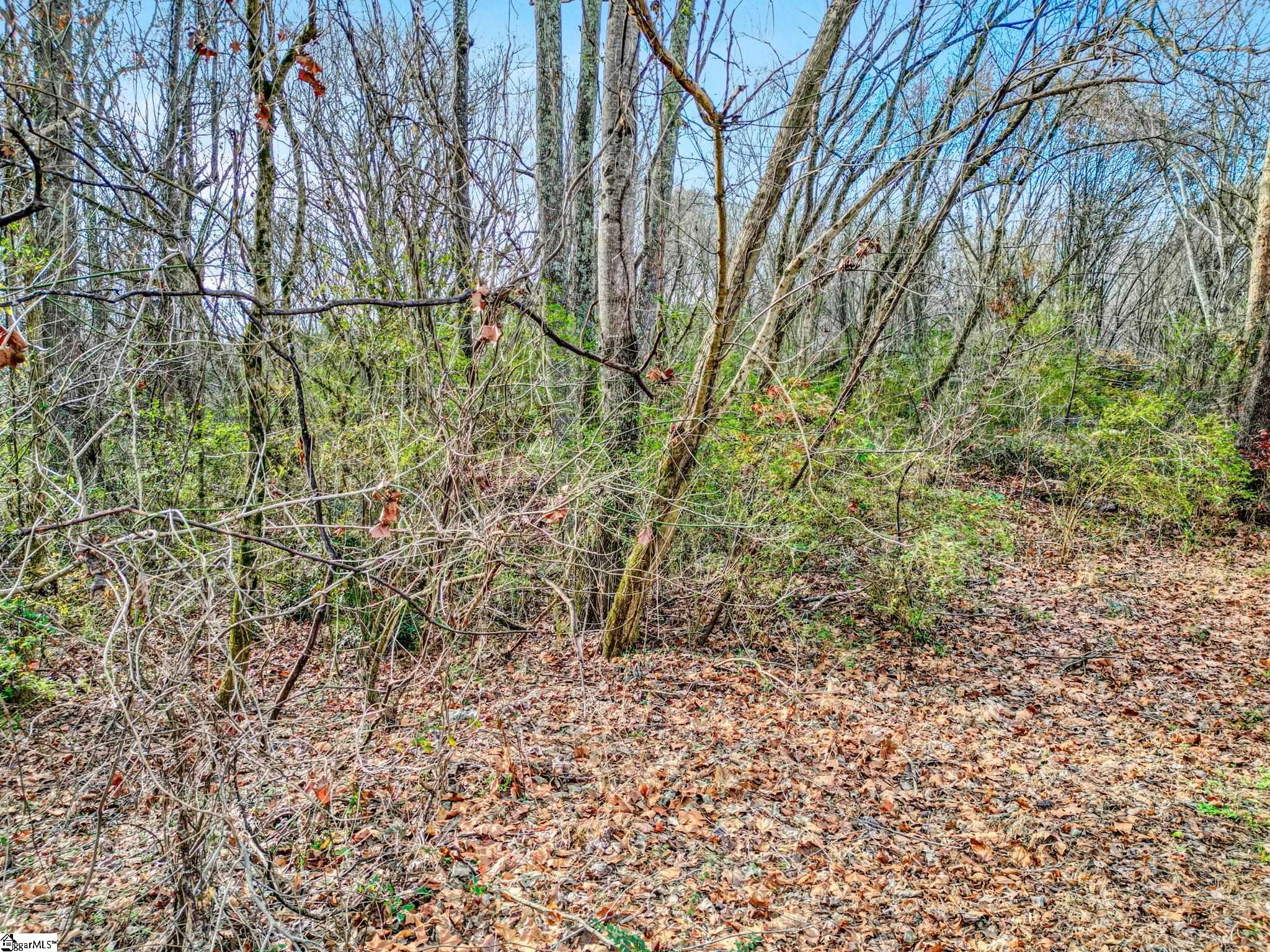411 Wilson Bridge Road Fountain Inn, SC 29644 - Photo 15 of 23