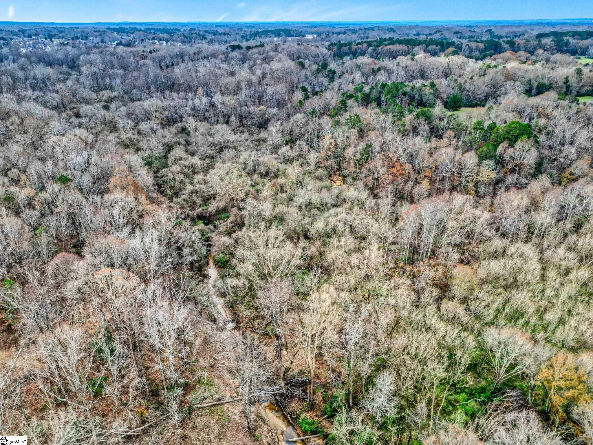 411 Wilson Bridge Road Fountain Inn, SC 29644 - Photo 21 of 23