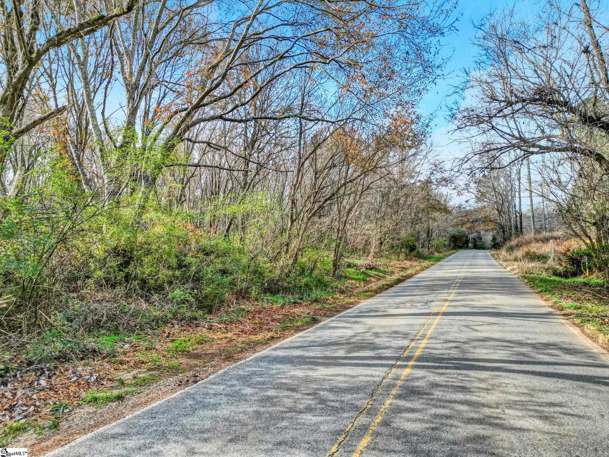 411 Wilson Bridge Road Fountain Inn, SC 29644 - Photo 7 of 23
