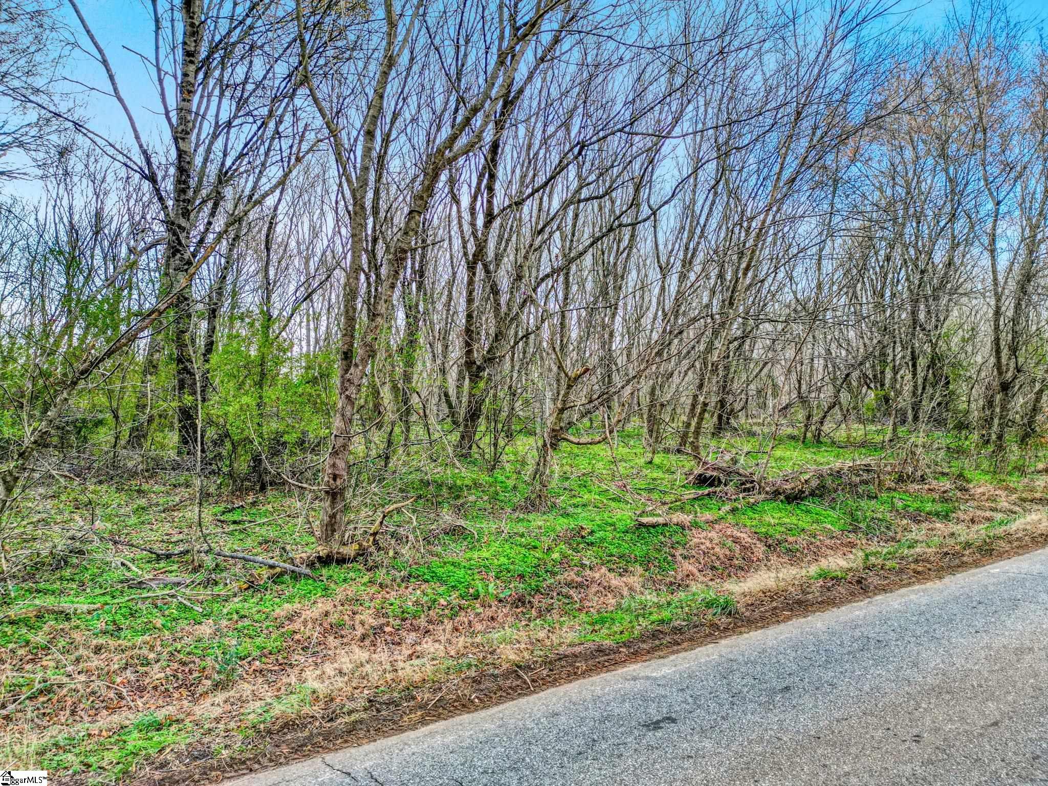 411 Wilson Bridge Road Fountain Inn, SC 29644 - Photo 9 of 23