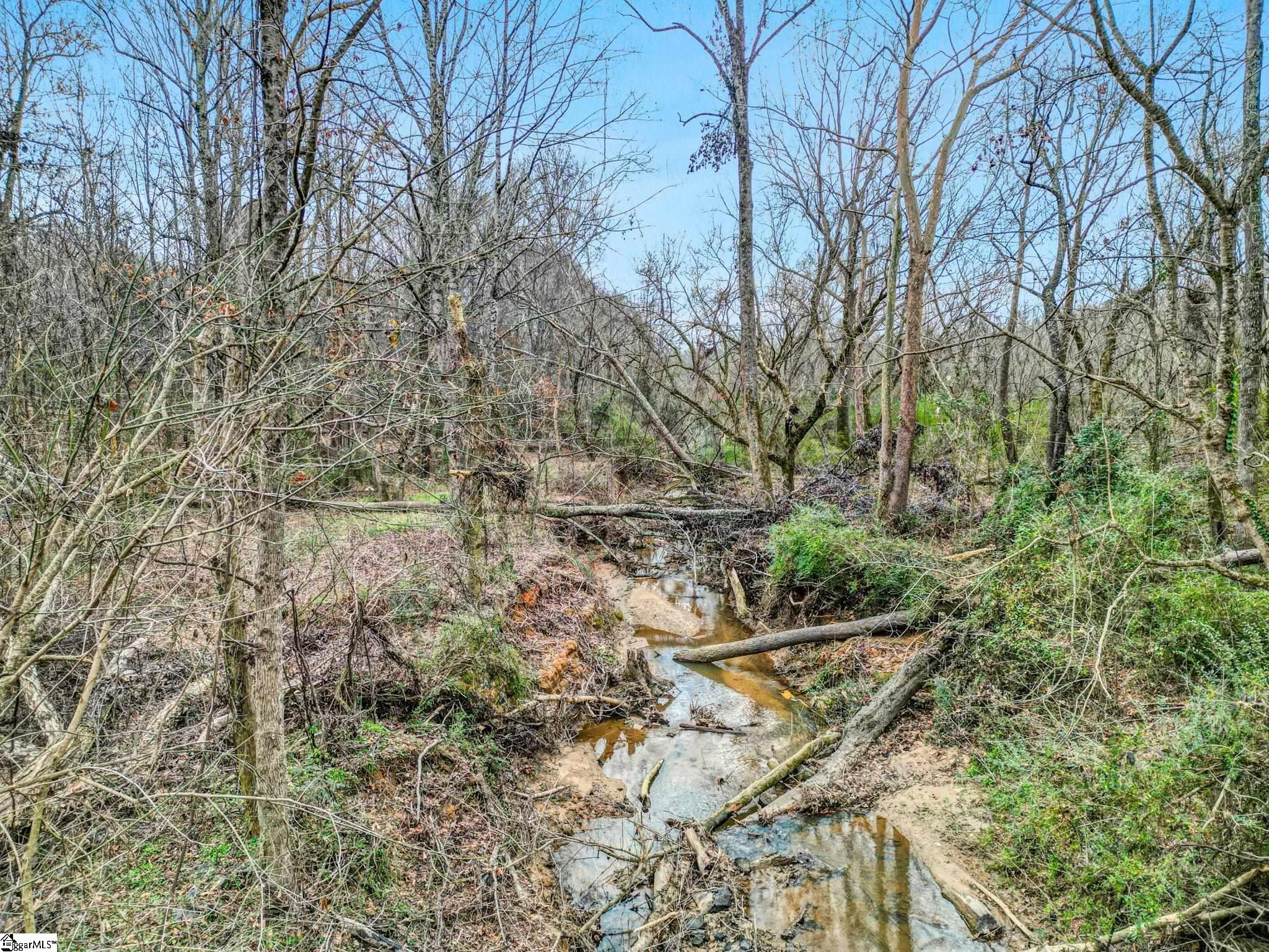 411 Wilson Bridge Road Fountain Inn, SC 29644 - Photo 10 of 23