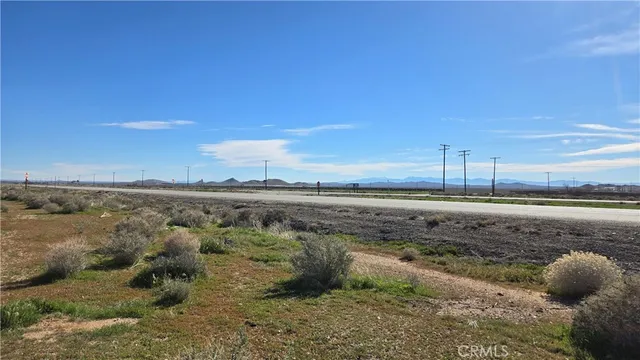 a view of a dry yard with trees