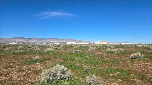 a view of a city with lush green forest