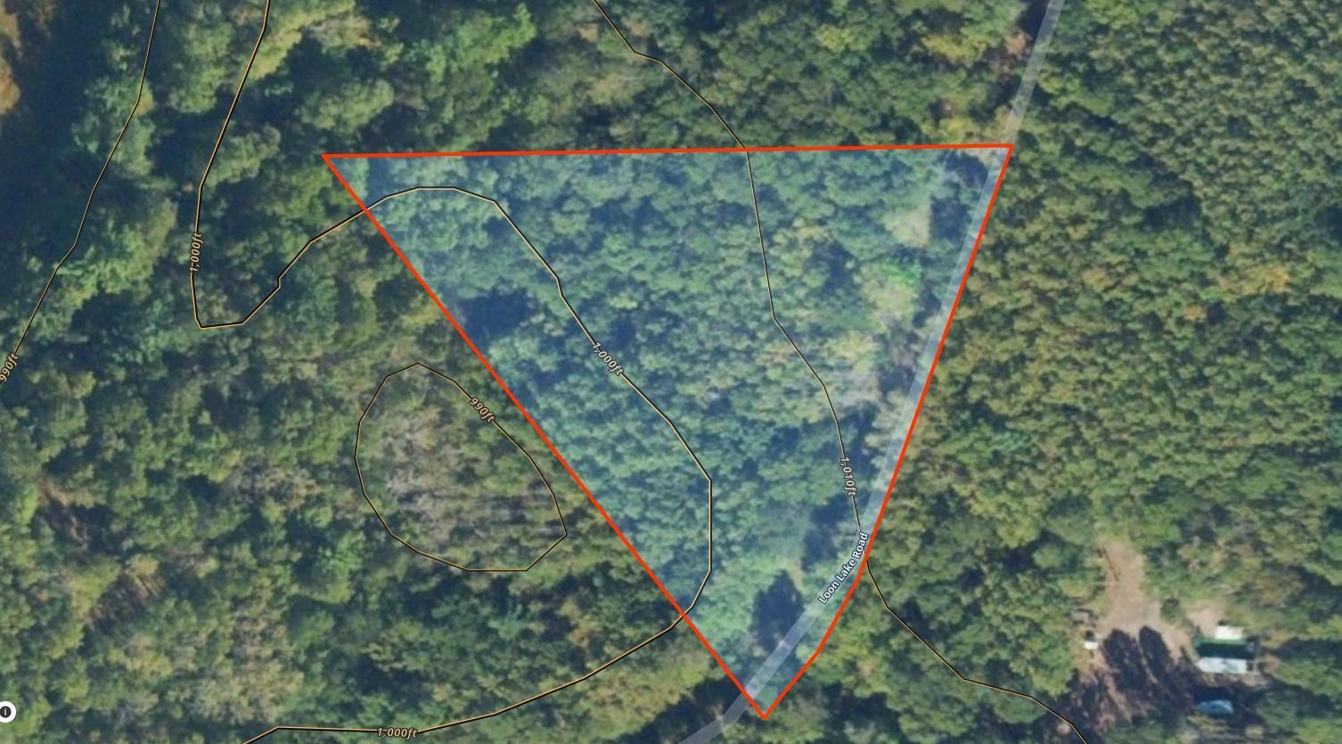 Lot 14 Loon Lake Road Danbury, WI 54830 - Photo 10 of 16