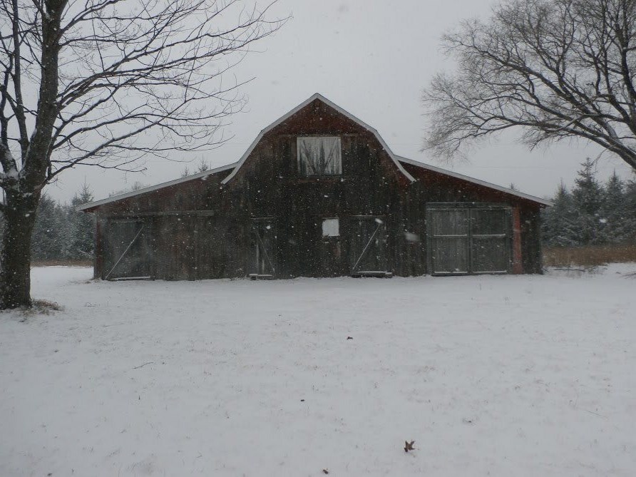 1050 Bush Road Bellaire, MI 49615 - Photo 4 of 15 1841331-3.JPG