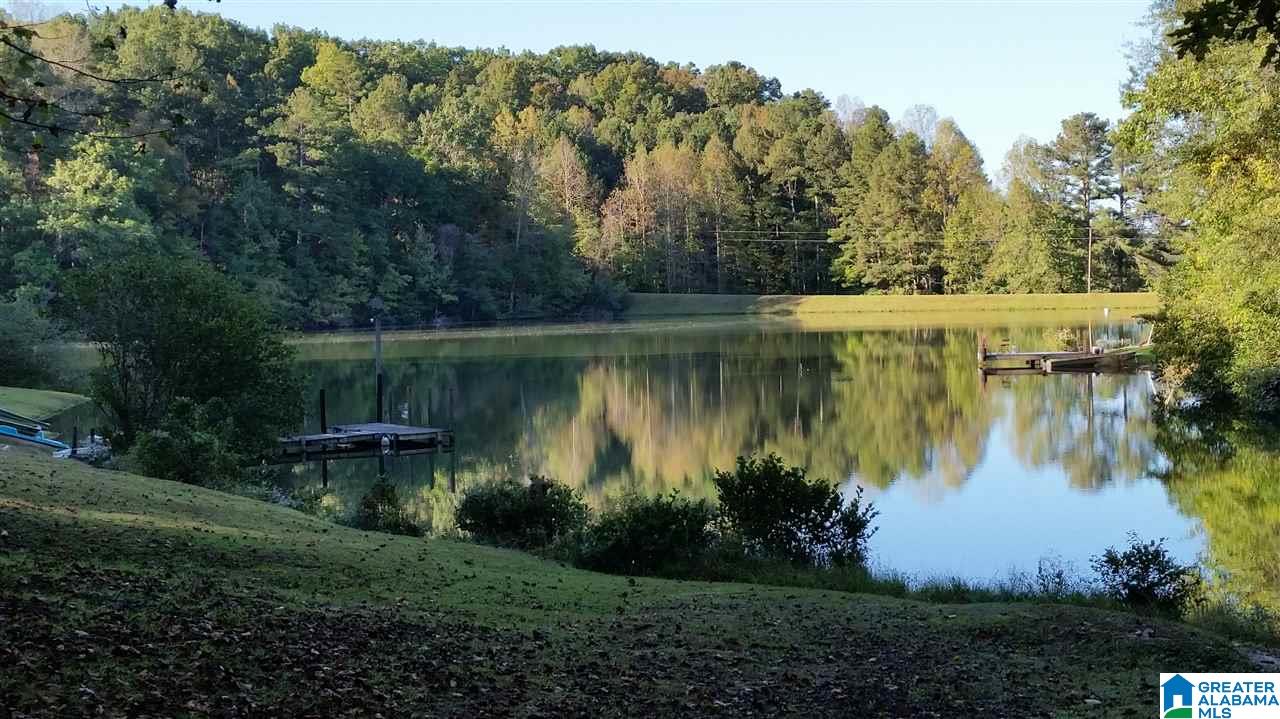 191 County Road 929 Delta, AL 36258 - Photo 3 of 22