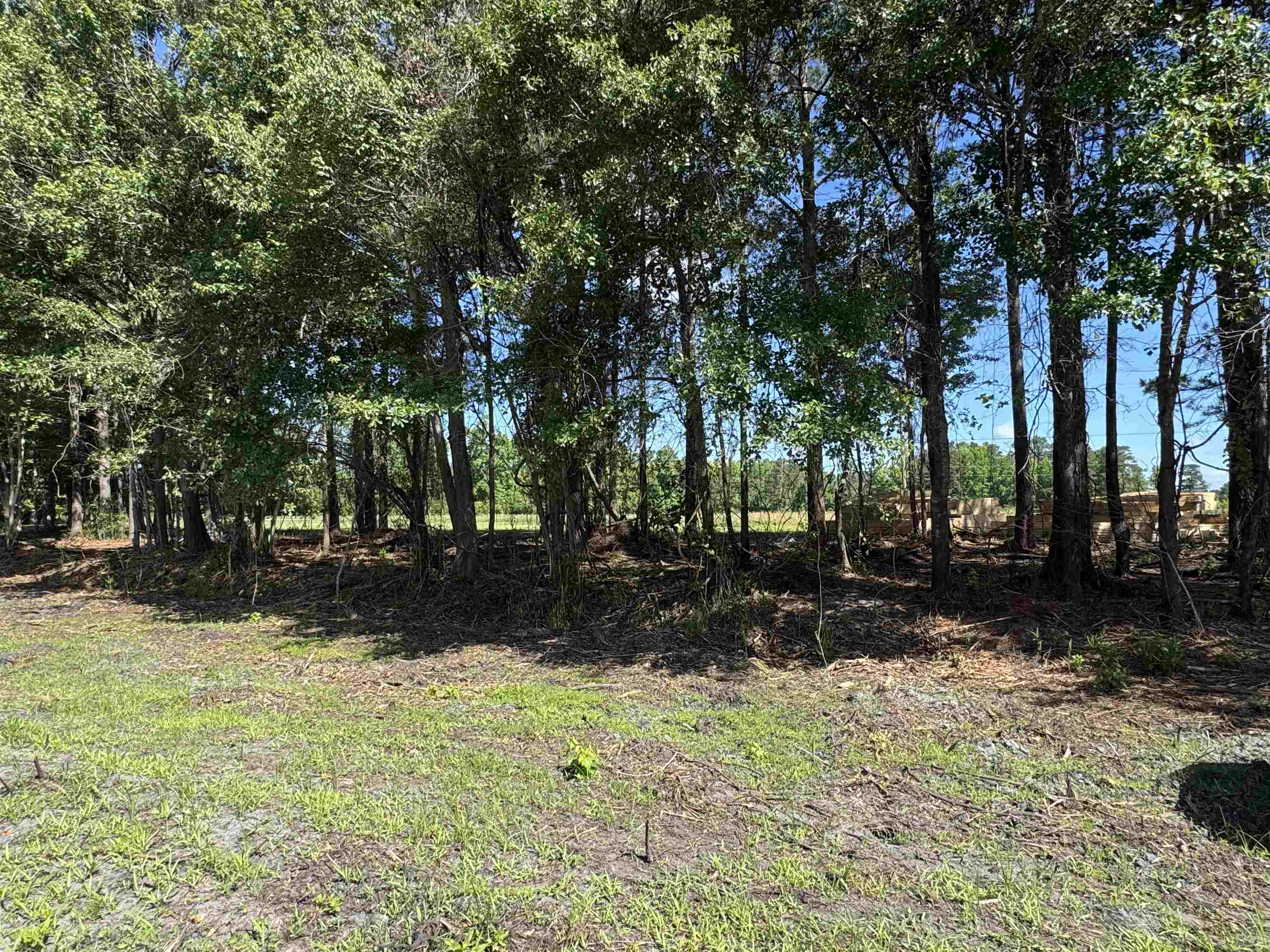 1876 Horry Road Aynor, SC 29511 - Photo 2 of 4