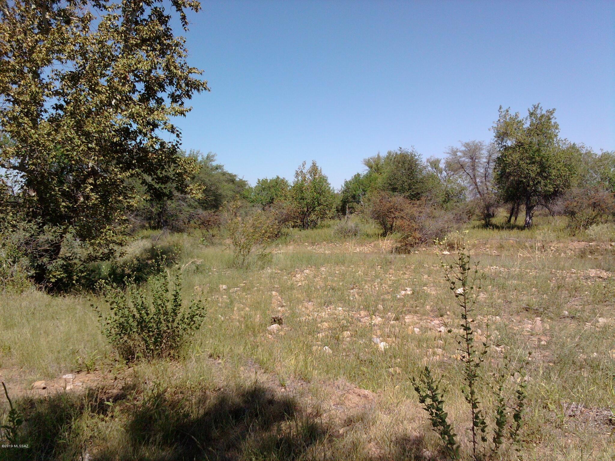 East Walnut Trail Pearce, AZ 85625 - Photo 10 of 47