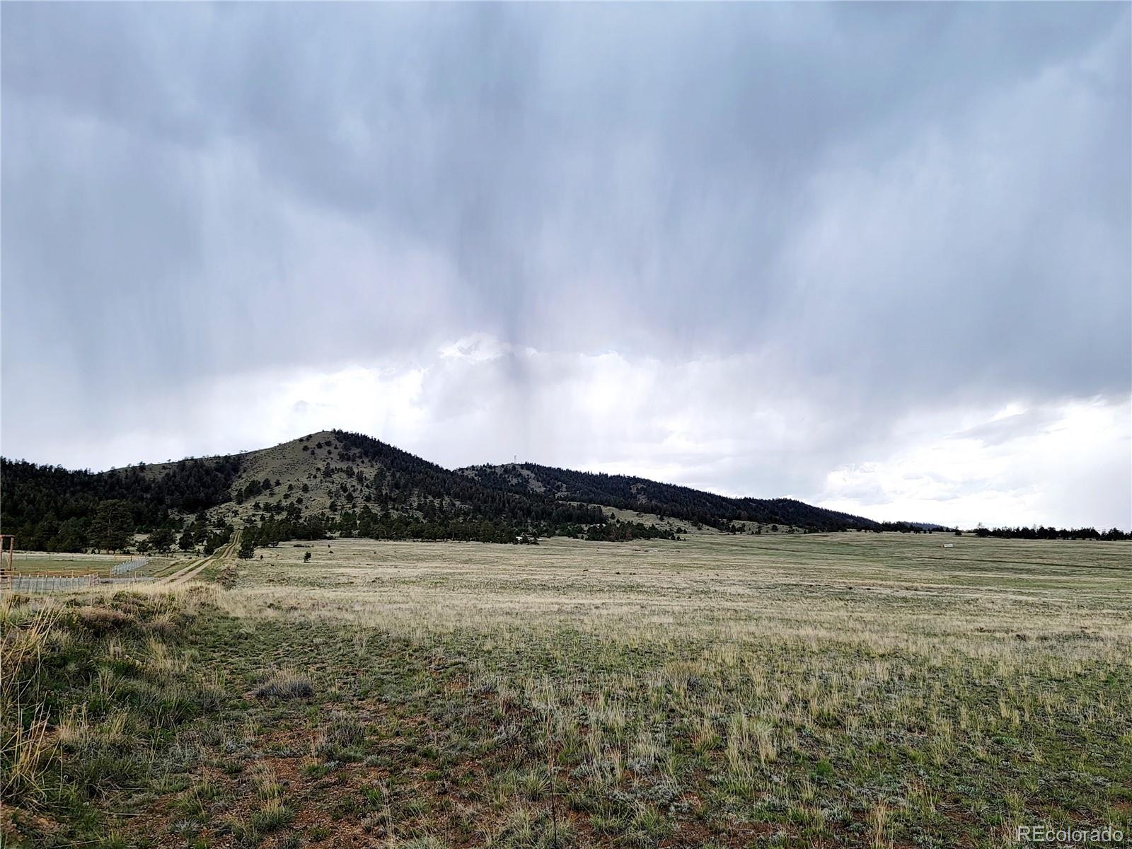 597 Mesa Road Hartsel, CO 80449 - Photo 3 of 17 Gallery Image 3