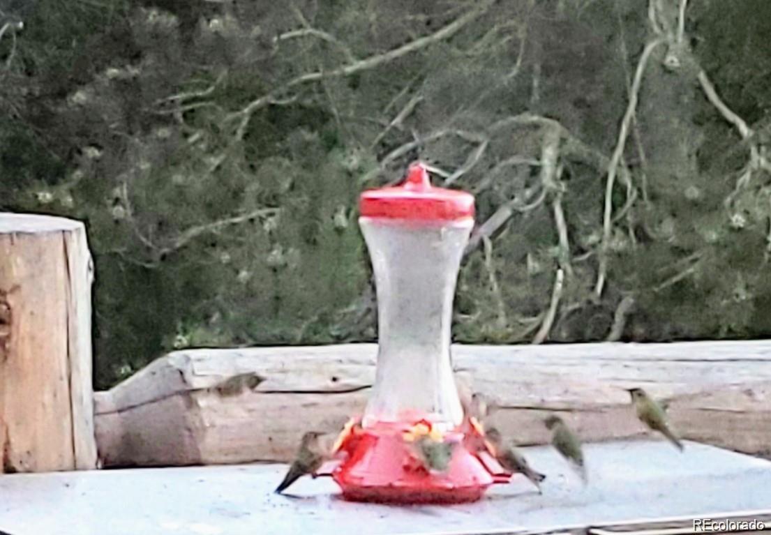 1 Sagamore Trail Black Hawk, CO 80422 - Photo 27 of 34 a view of swimming pool with a lounge chair