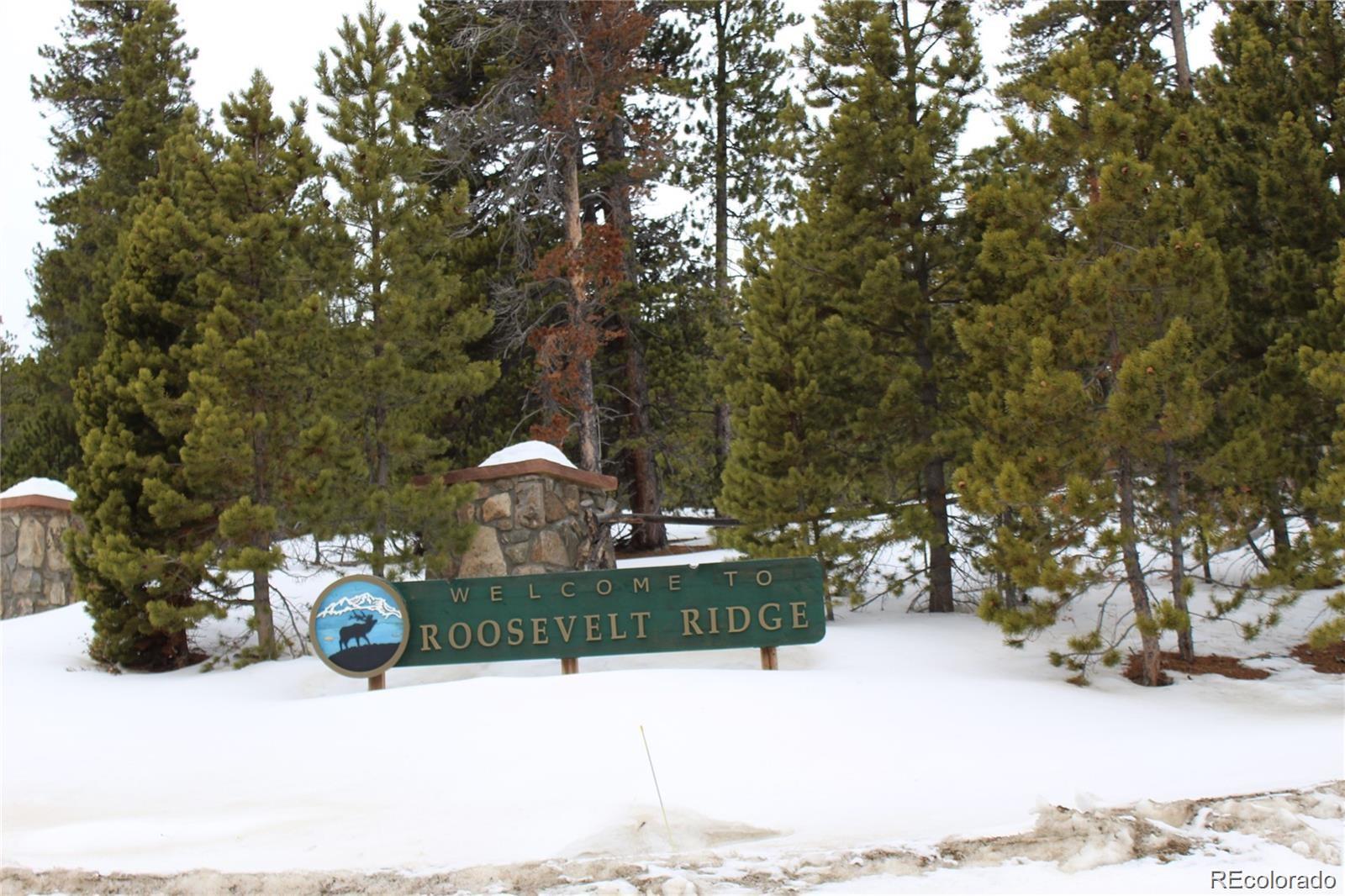1 Sagamore Trail Black Hawk, CO 80422 - Photo 32 of 34 a view of a yard with a tree