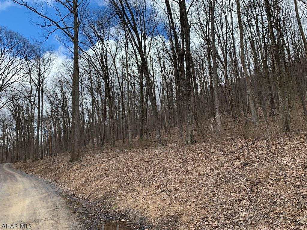 Lot 5 Monroe Mountain Road Clearville, PA 15535 - Photo 29 of 31 Gallery Image 29