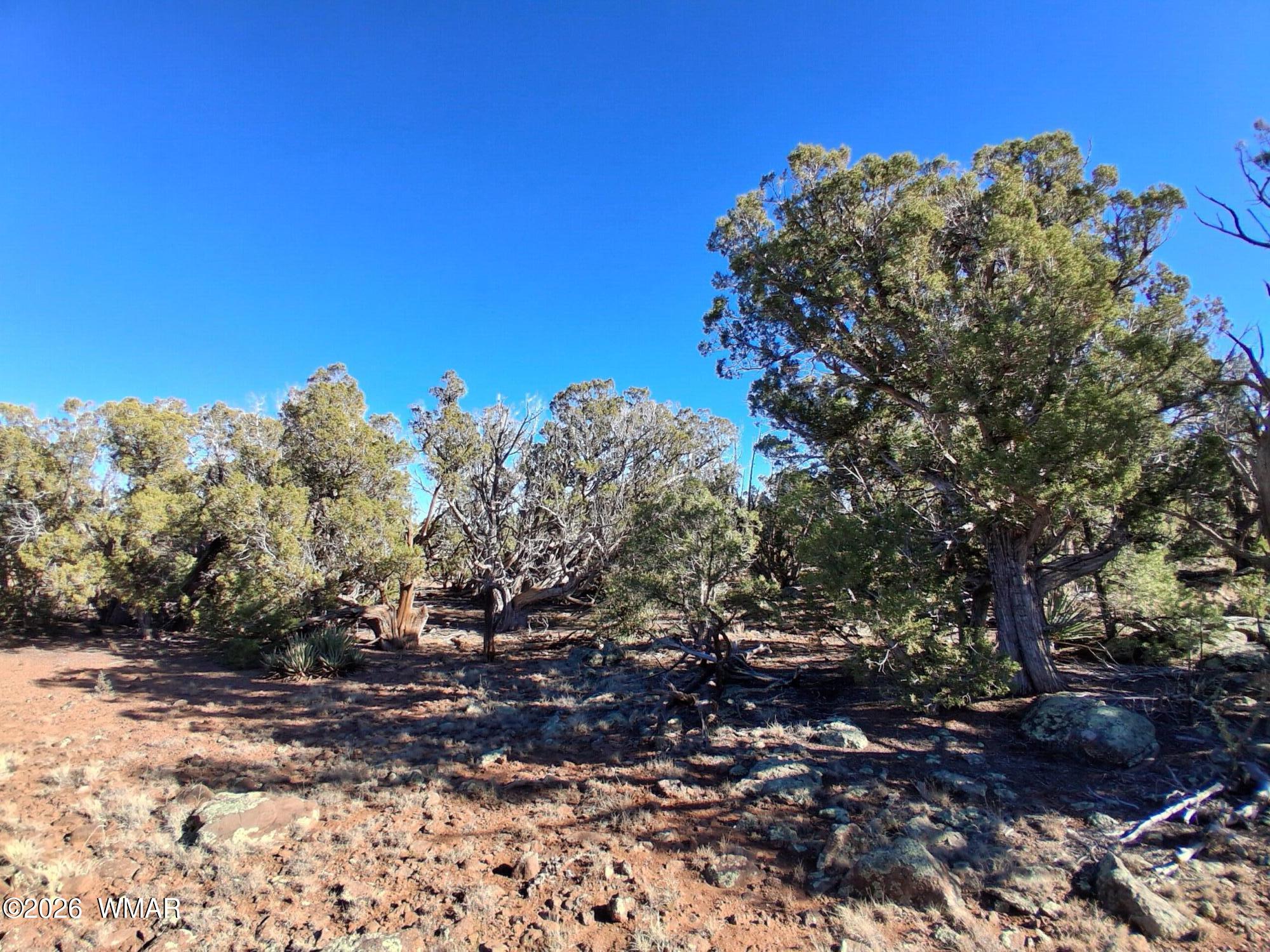203 County Road Concho, AZ 85924 - Photo 4 of 5