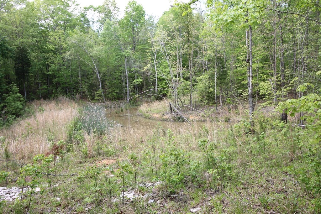 Plank Road, Unit 20C Kenbridge, VA 23944 - Photo 2 of 19 Gallery Image 2