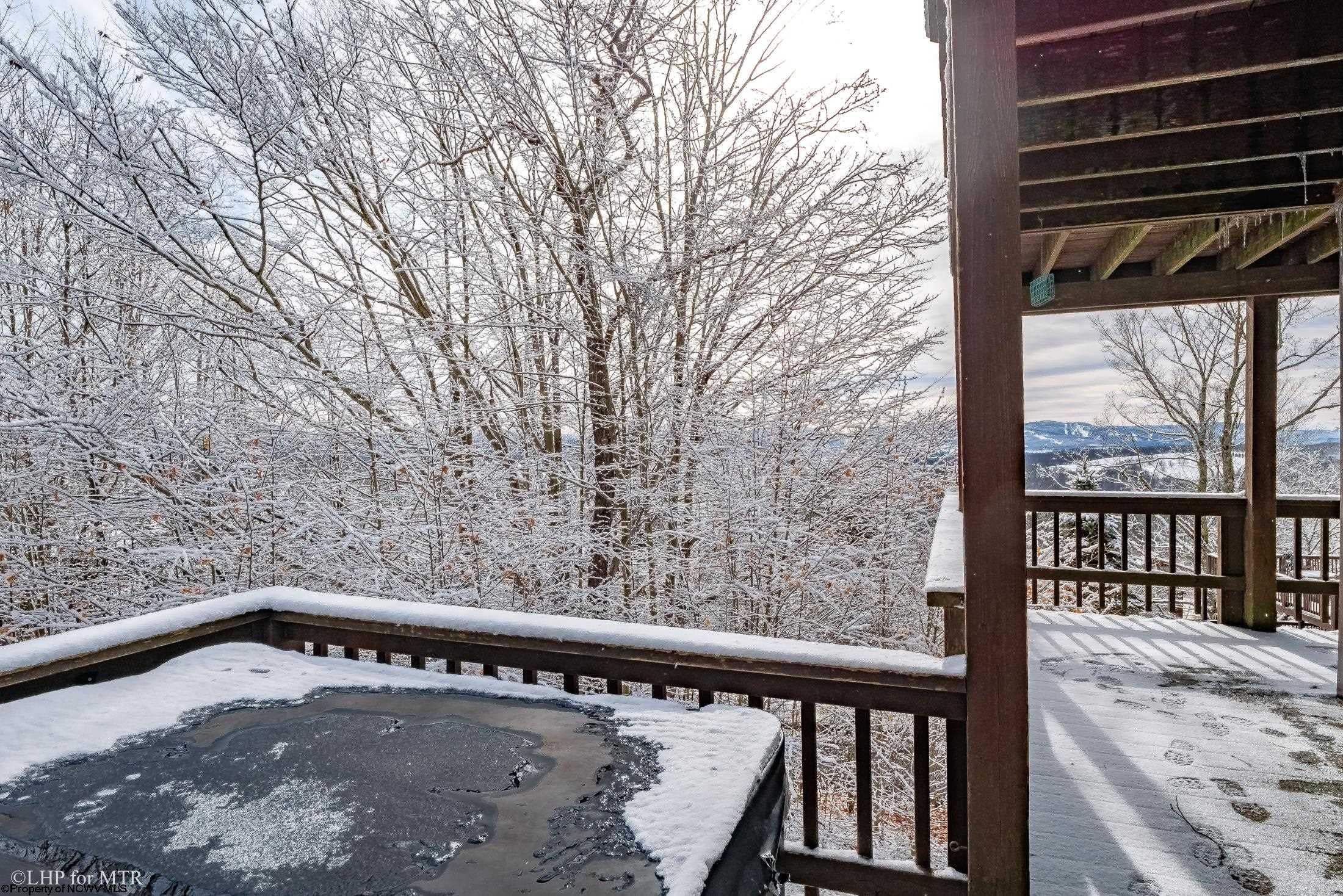 65 Snow Run Road Davis, WV 26260 - Photo 31 of 36 Gallery Image 31