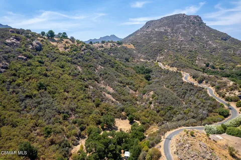 a view of a dry yard with lots of trees