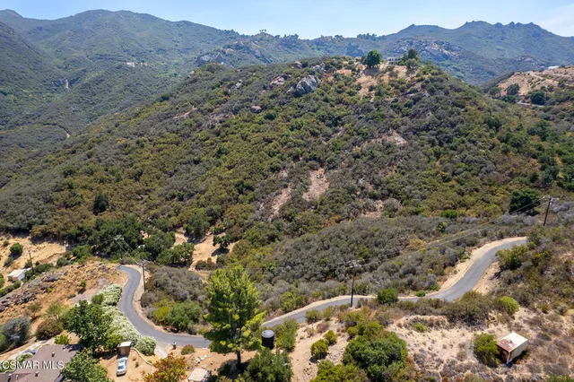 a view of a forest with mountains in the background
