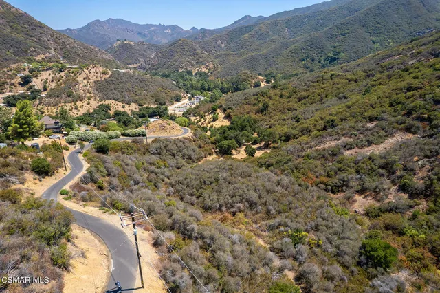 a view of a forest with mountains in the background
