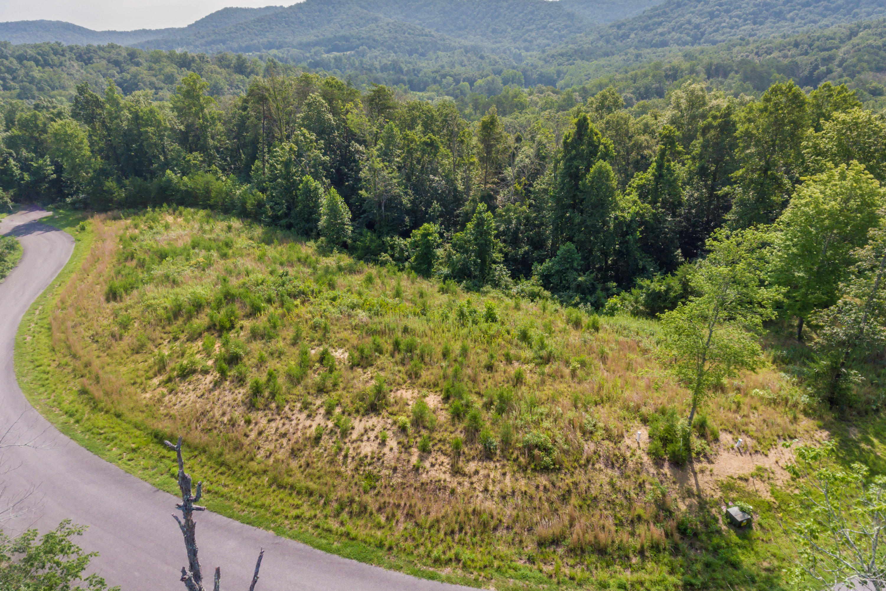 Deer Grove Way Powell, TN 37849 - Photo 1 of 11 Lot25-12