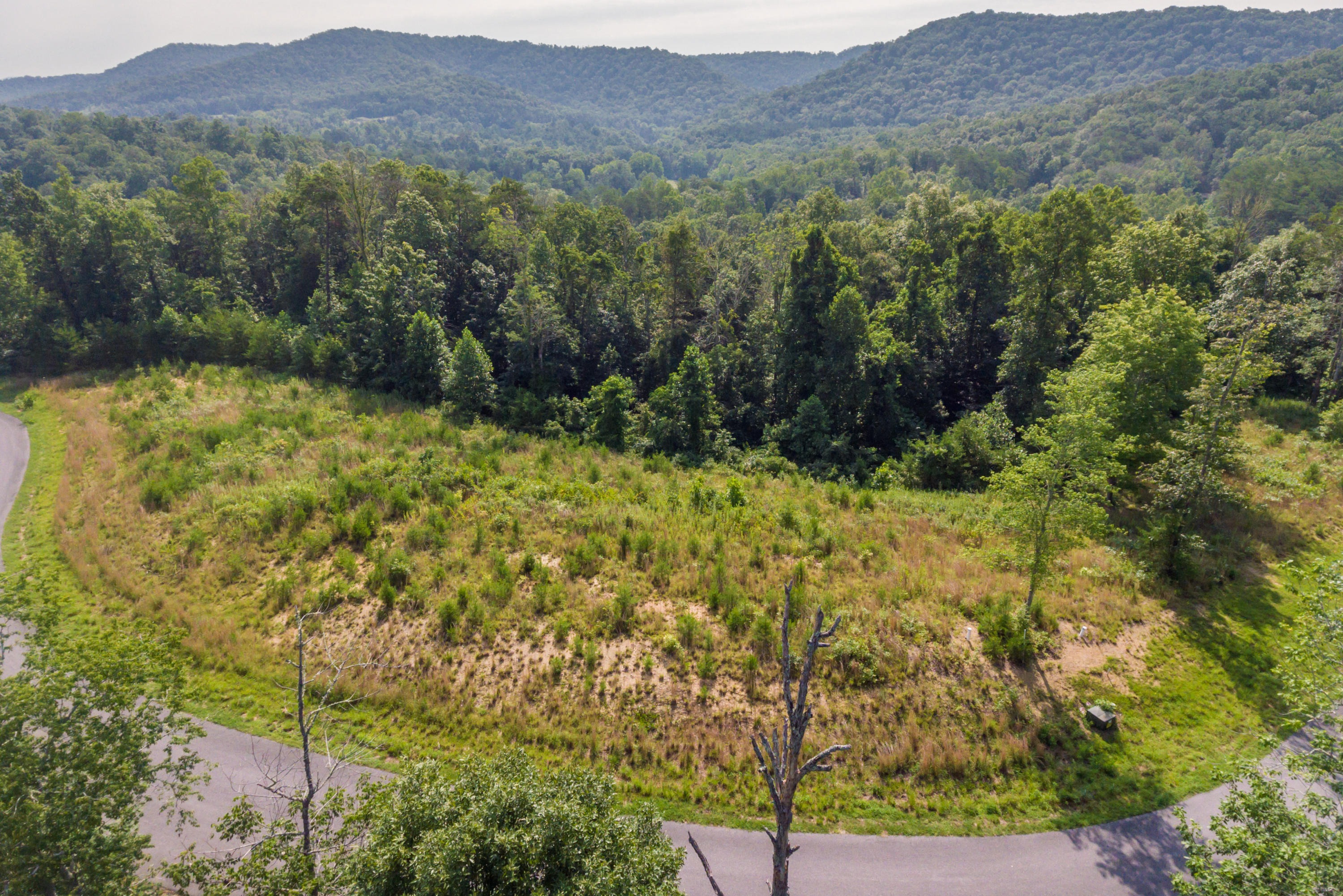 Deer Grove Way Powell, TN 37849 - Photo 2 of 11 Lot25-13