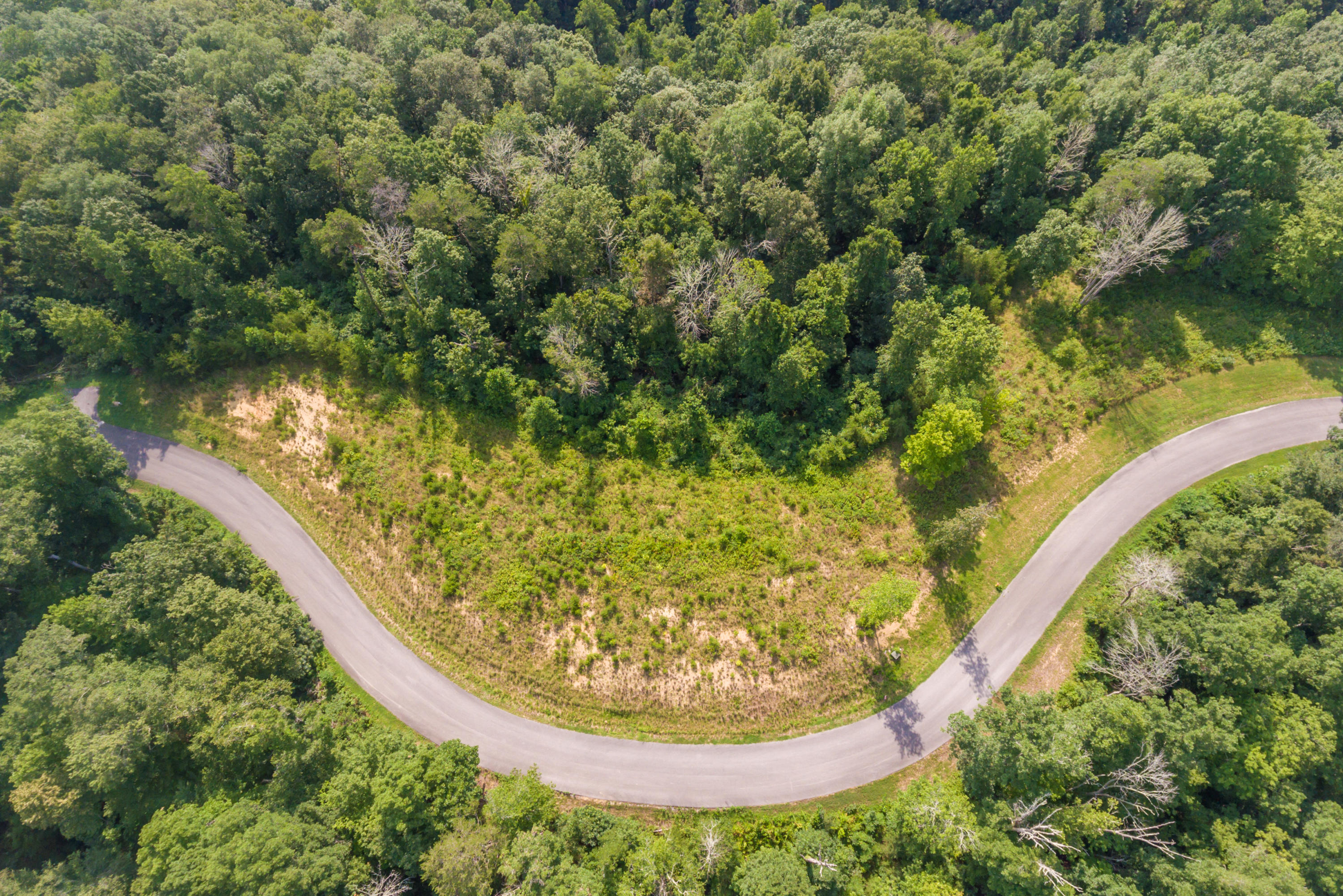 Deer Grove Way Powell, TN 37849 - Photo 3 of 11 Lot25-17