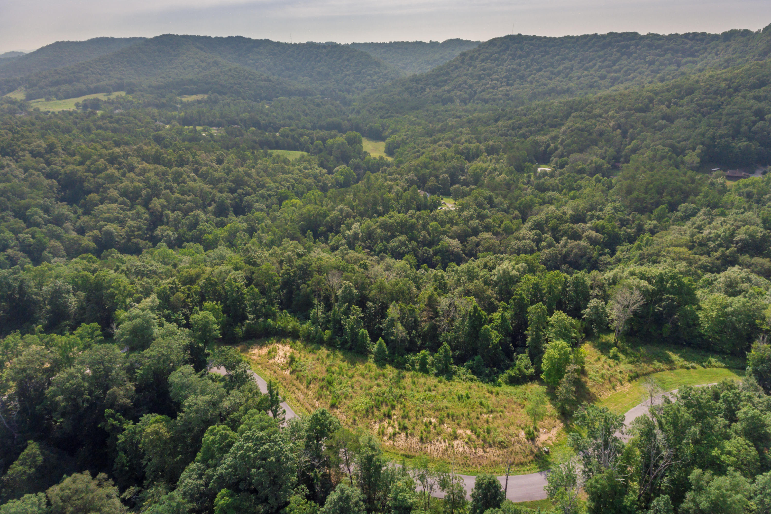 Deer Grove Way Powell, TN 37849 - Photo 4 of 11 Lot25-10