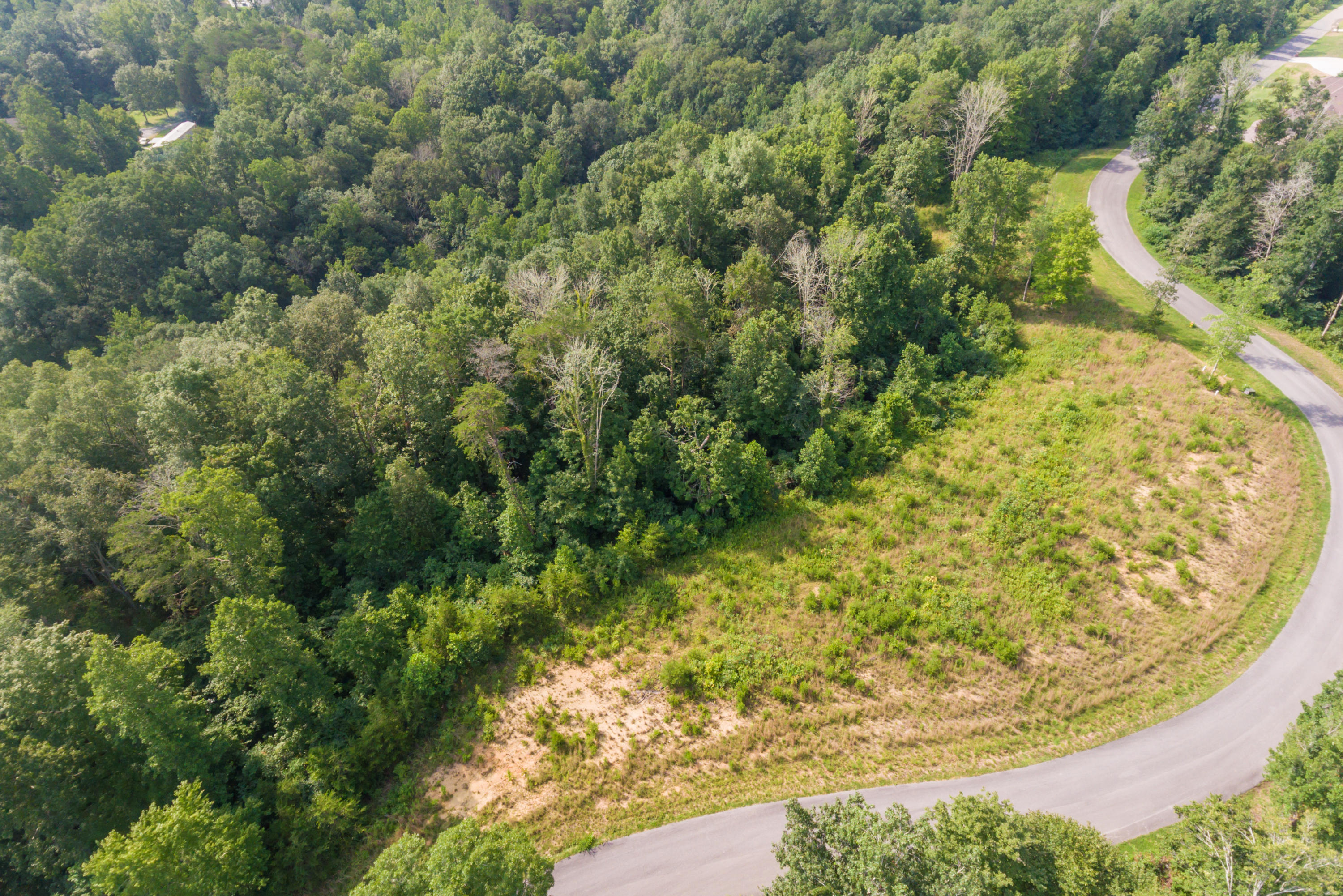 Deer Grove Way Powell, TN 37849 - Photo 5 of 11 Lot25-7