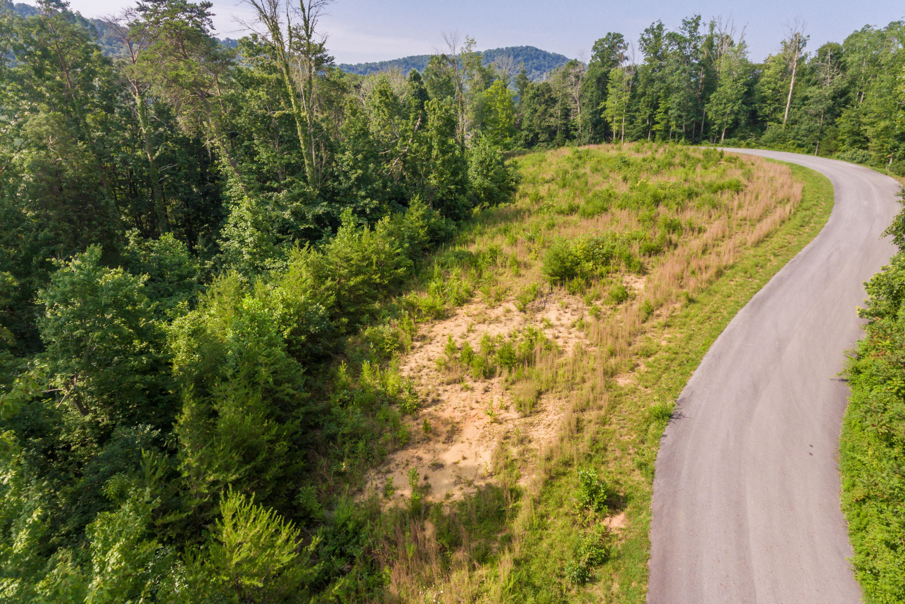 Deer Grove Way Powell, TN 37849 - Photo 6 of 11 Lot25-5