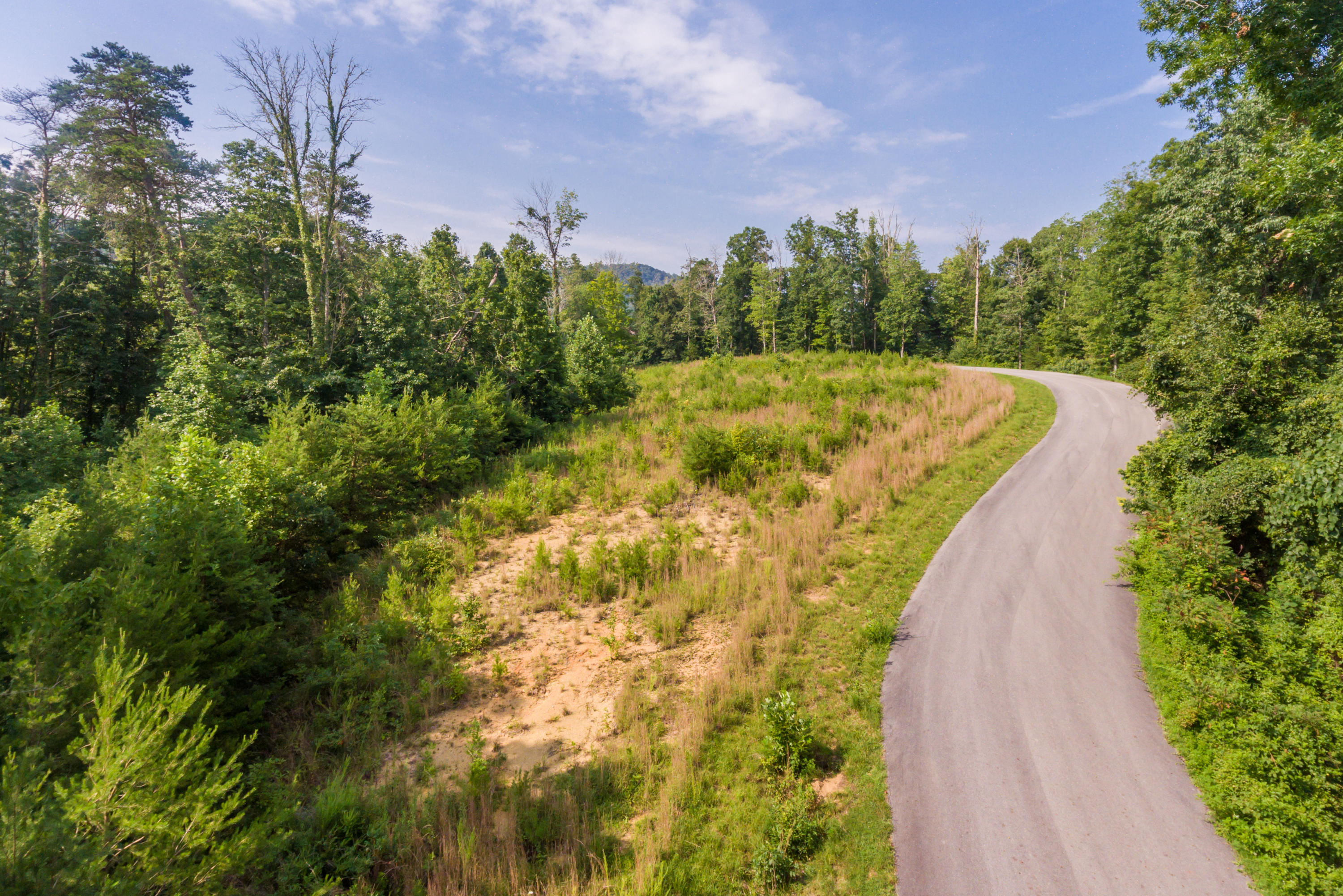 Deer Grove Way Powell, TN 37849 - Photo 7 of 11 Lot25-20
