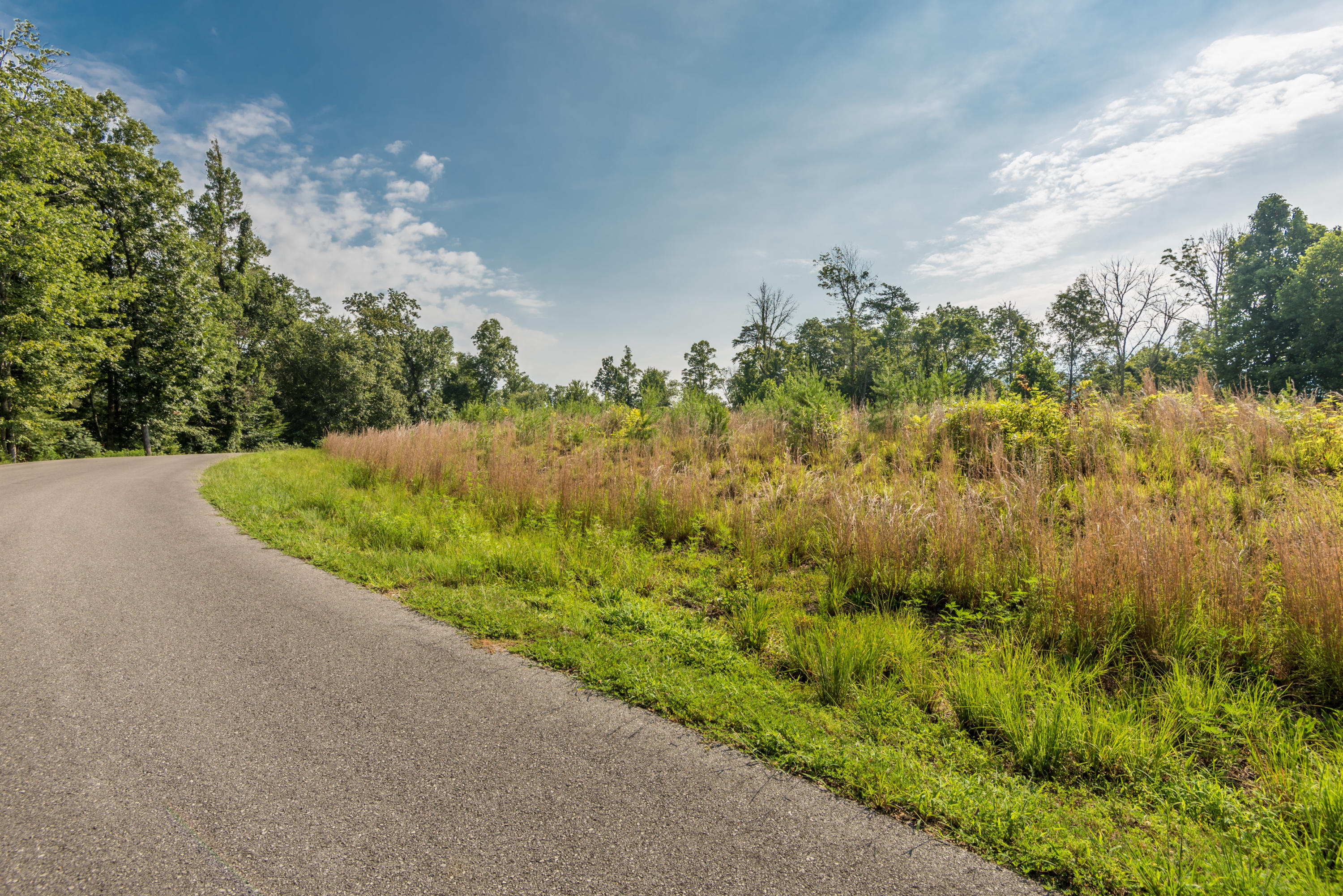 Deer Grove Way Powell, TN 37849 - Photo 8 of 11 Lot25-2