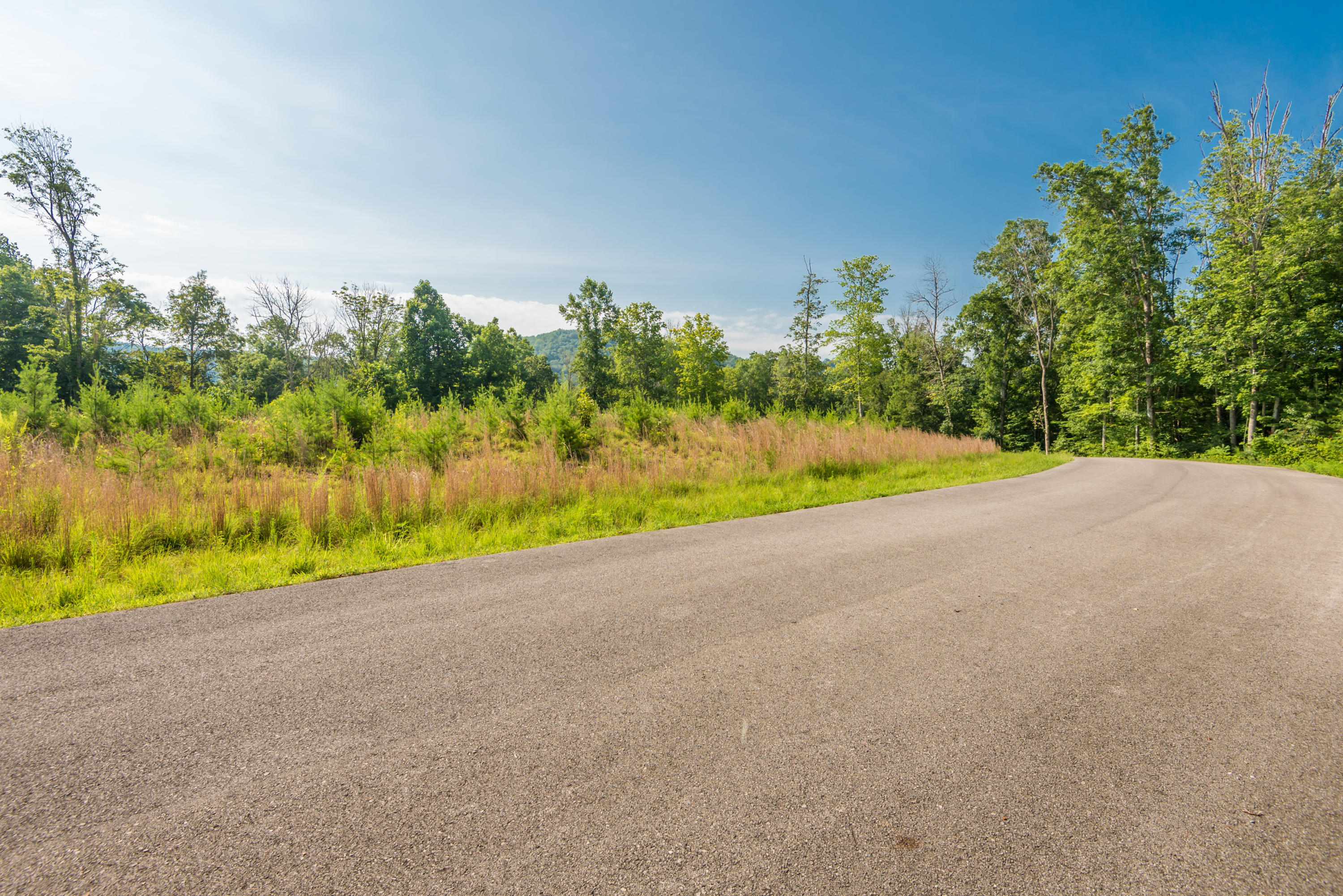 Deer Grove Way Powell, TN 37849 - Photo 9 of 11 Lot25-3