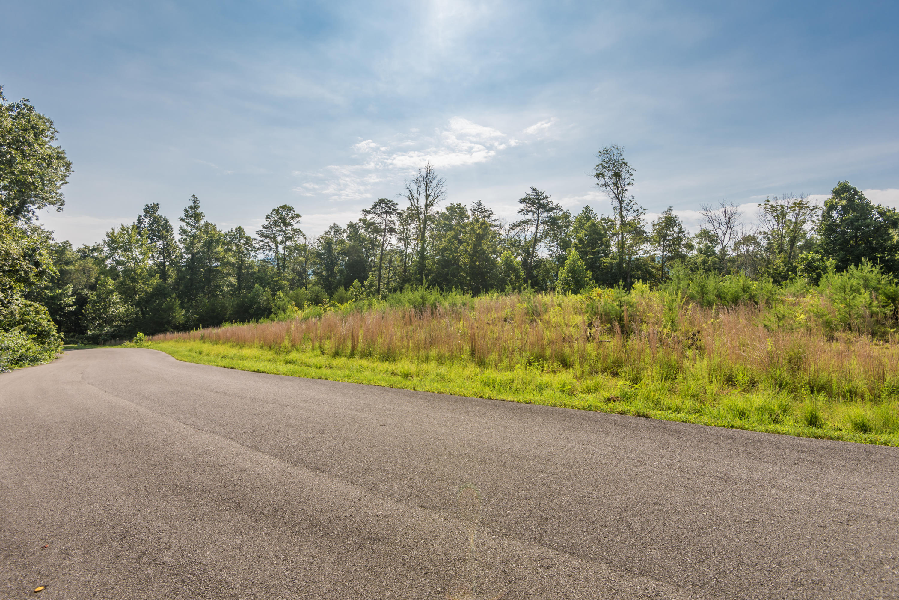 Deer Grove Way Powell, TN 37849 - Photo 10 of 11 Lot25-4