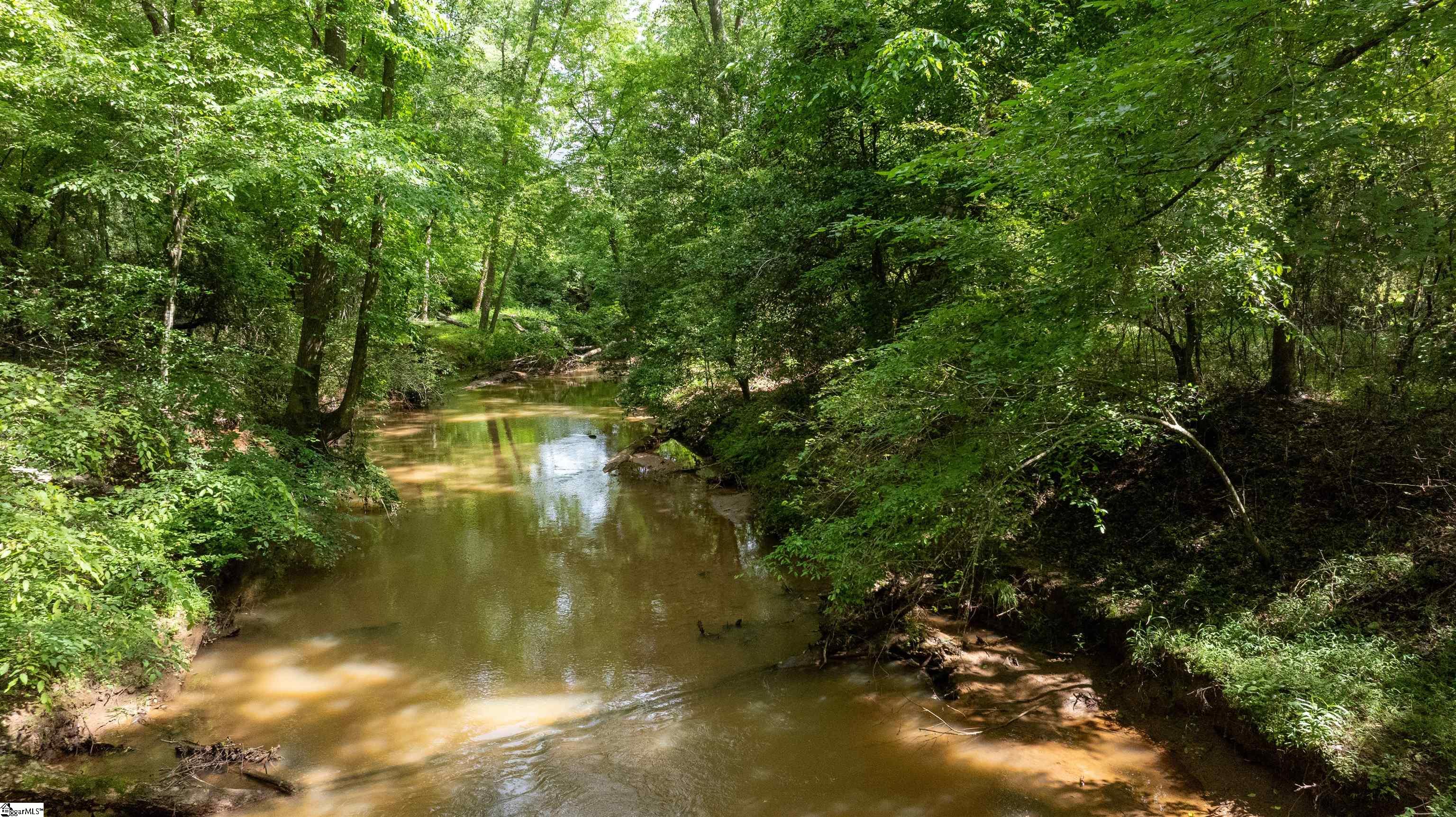 0 Old Mill Road Easley, SC 29642 - Photo 5 of 9