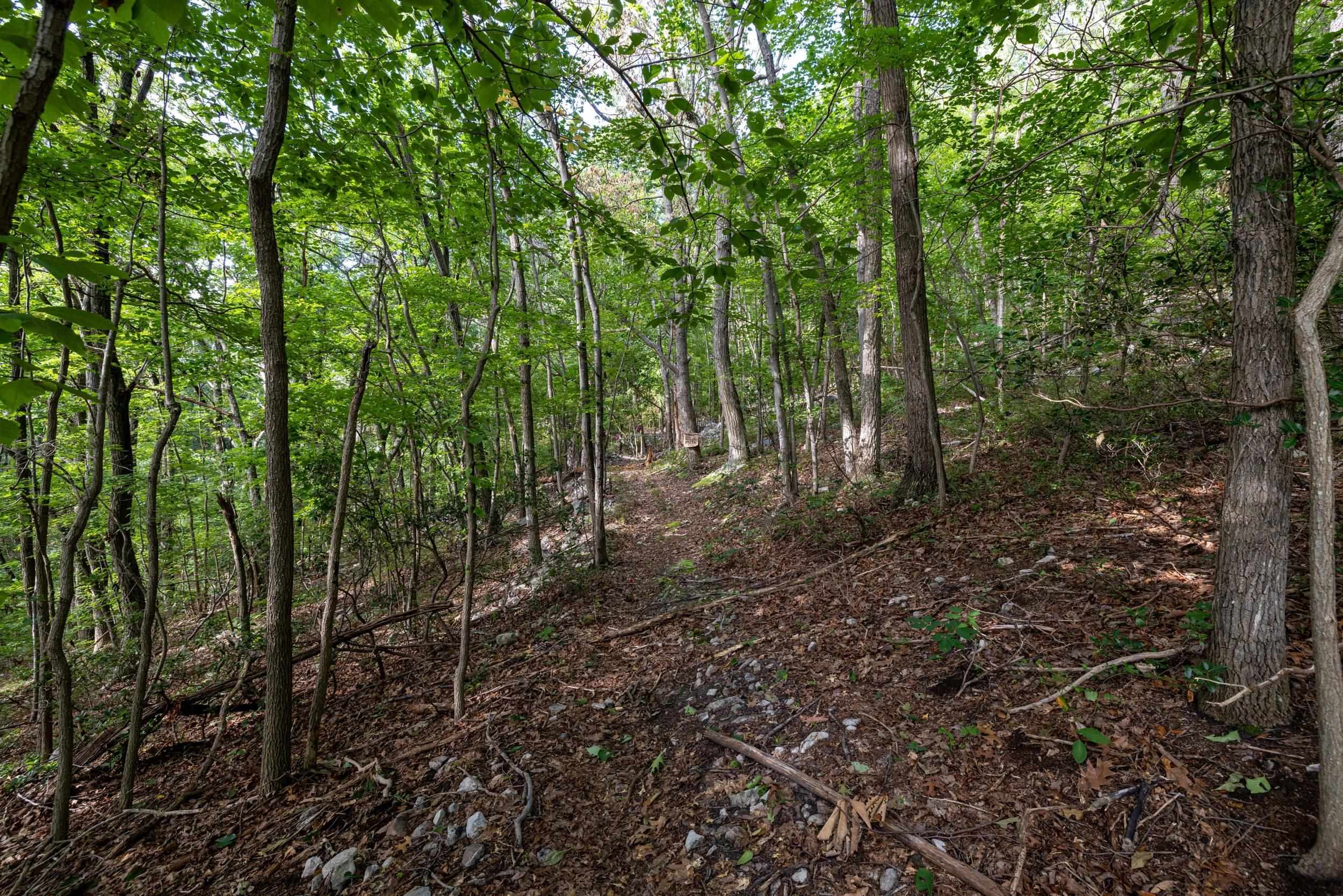 0 Roundhead Mountain Road Stanley, VA 22851 - Photo 28 of 43 Gallery Image 28