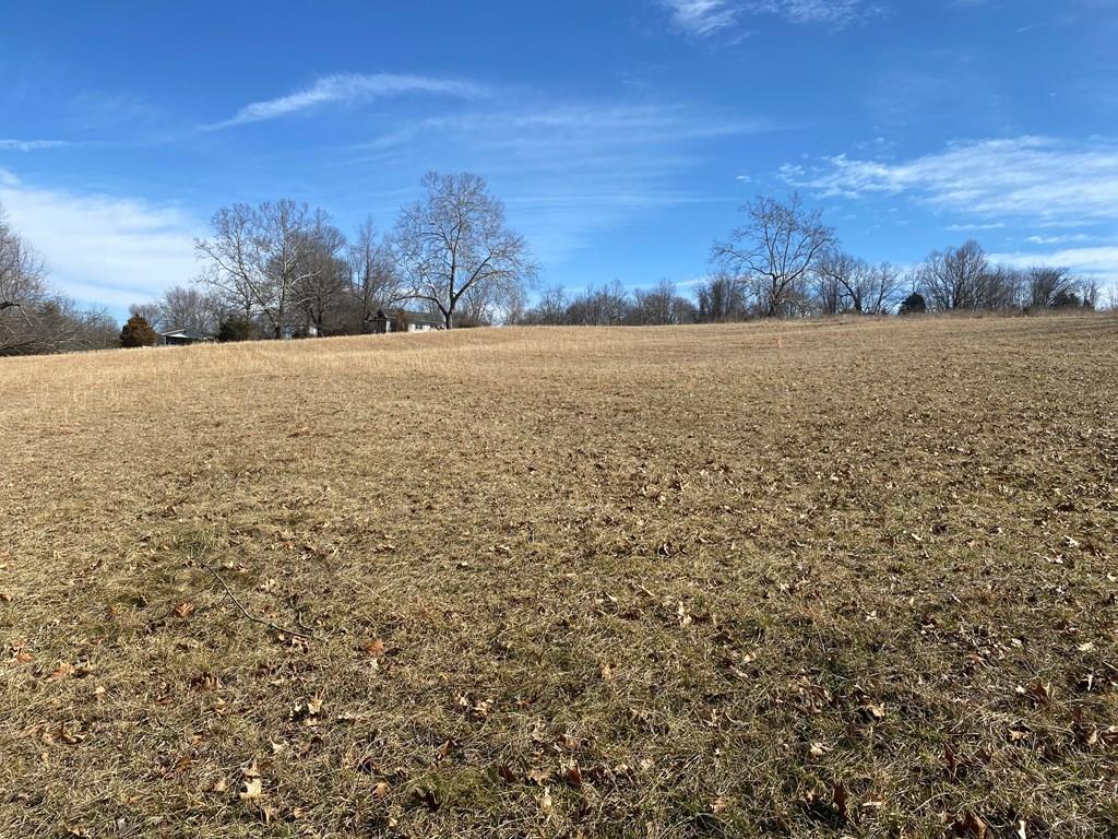 0 Sinking Creek Road, Unit 5 Bristol, VA 24202 - Photo 2 of 12 Gallery Image 2