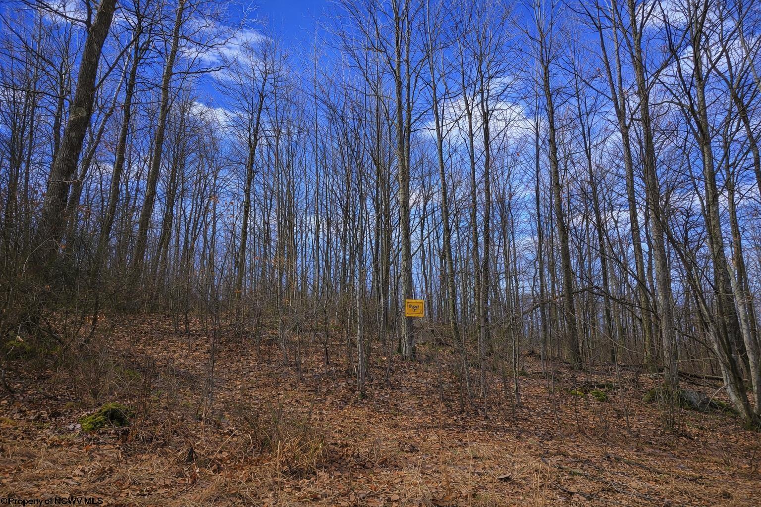 2110 West Teter Creek Road Montrose, WV 26283 - Photo 17 of 17 Gallery Image 17