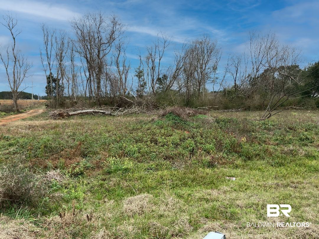 10180 County Road 95 Elberta, AL 36530 - Photo 1 of 10
