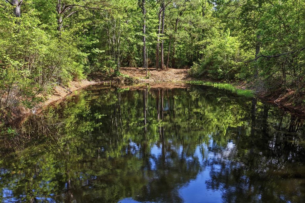 Lot #3 Crosby Clark Road Opp, AL 36467 - Photo 1 of 15 Main View
