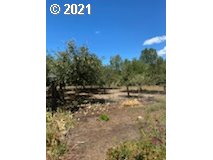 91029 Marcola Road Springfield, OR 97478 - Photo 20 of 23