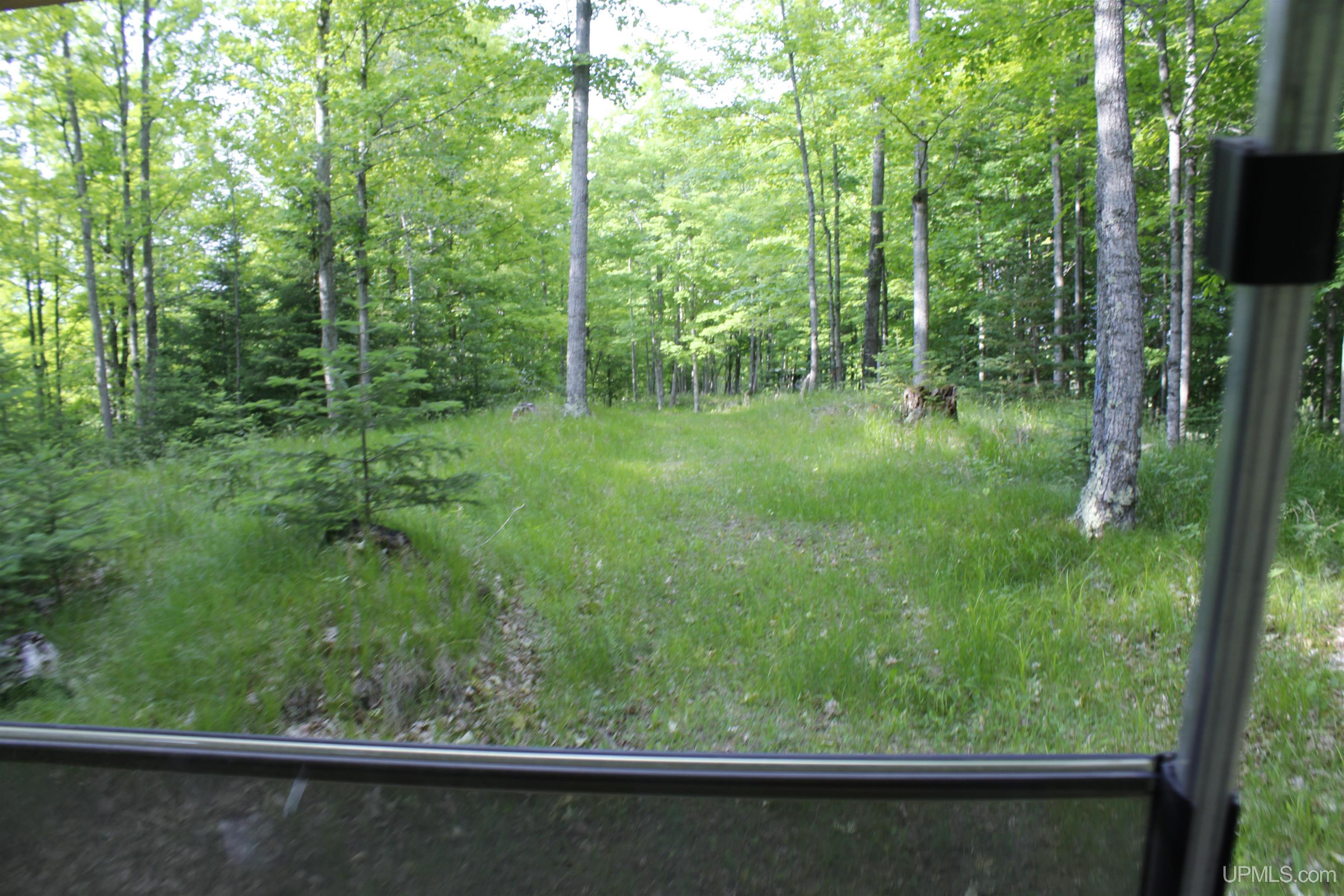 W2588 31 Lane Daggett, MI 49821 - Photo 37 of 58