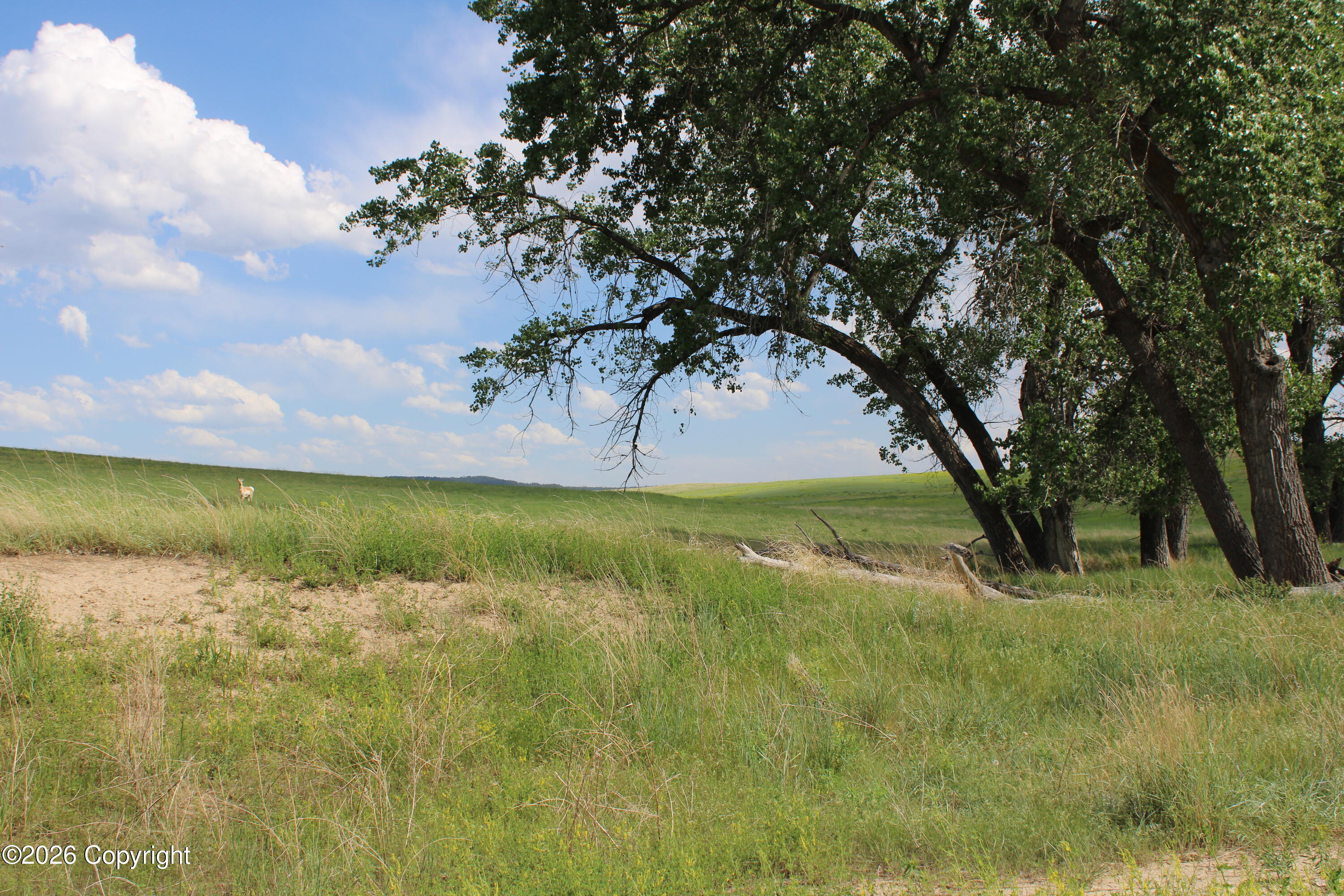 12 River Road Hulett, WY 82720 - Photo 4 of 23 Gallery Image 4