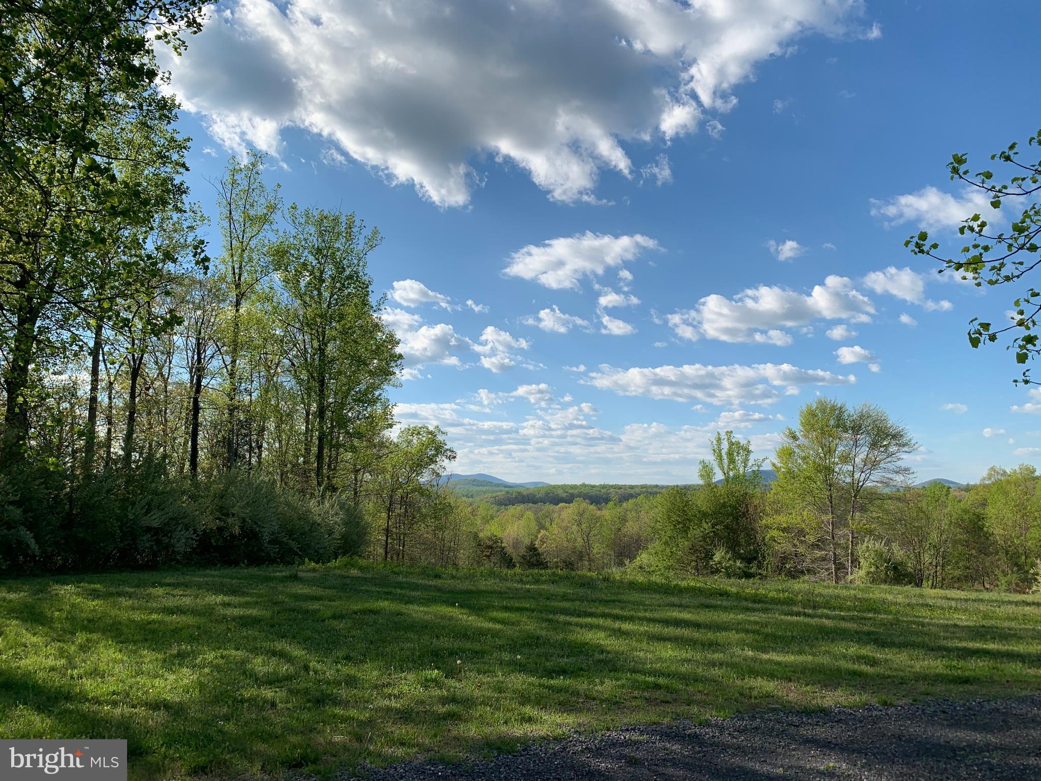 9626 Sherburne Farm Road Marshall, VA 20115 - Photo 14 of 57 a view of a big yard with plants and large trees