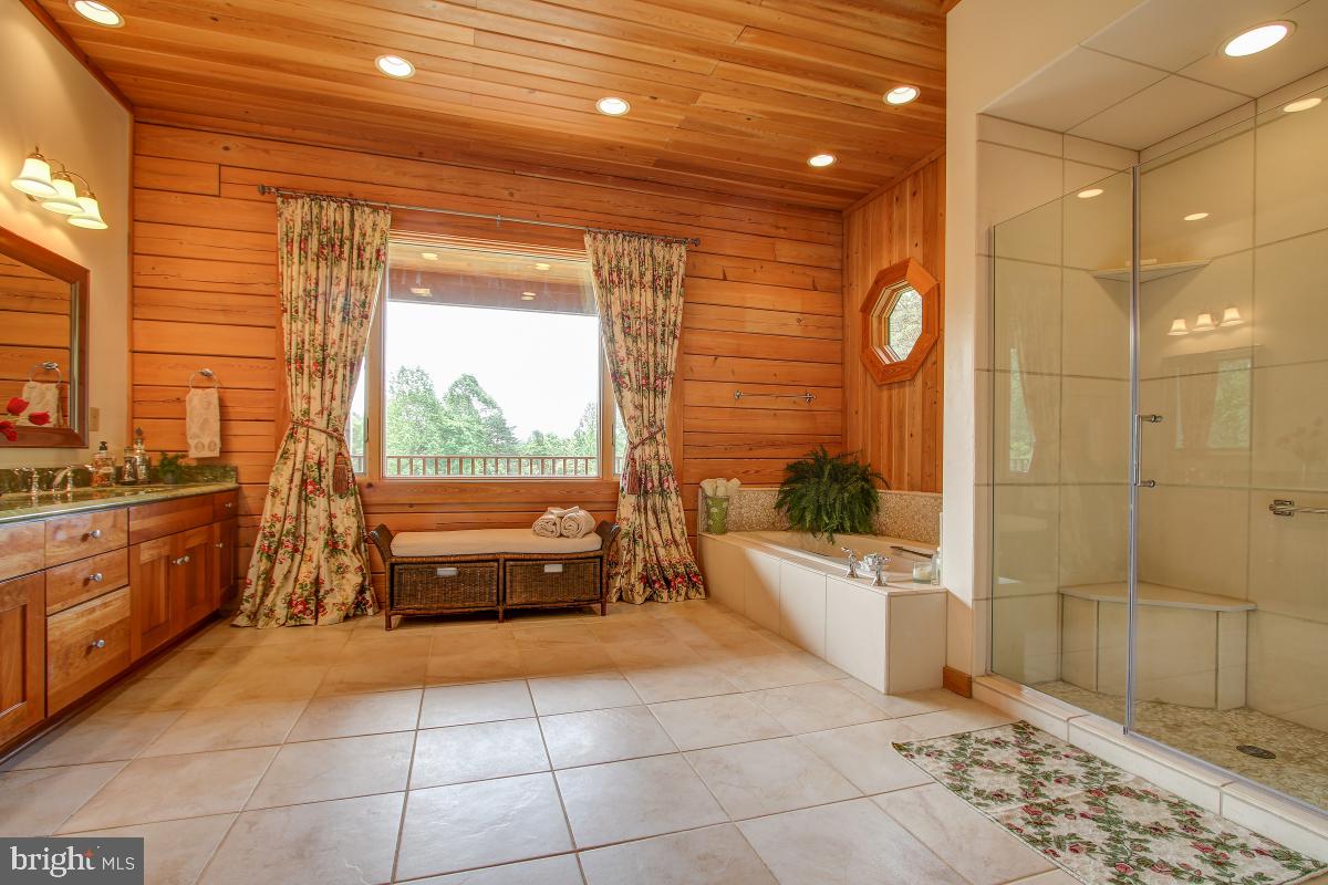 9626 Sherburne Farm Road Marshall, VA 20115 - Photo 5 of 57 Master En-Suite bath