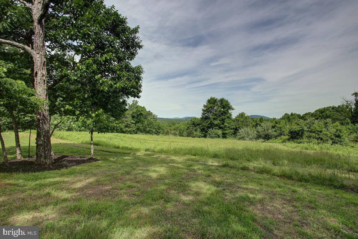 9626 Sherburne Farm Road Marshall, VA 20115 - Photo 52 of 57 a green field with lots of trees in the background