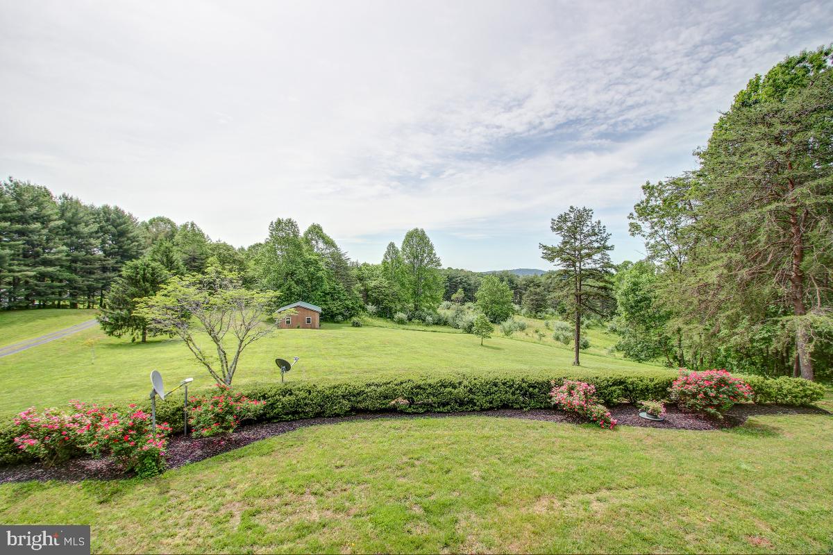 9626 Sherburne Farm Road Marshall, VA 20115 - Photo 53 of 57 a view of a grassy field with trees