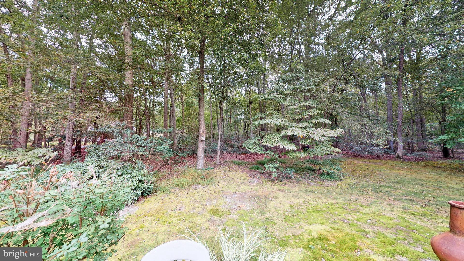 3 Red Maple Road New Egypt, NJ 08533 - Photo 31 of 34 Wooded Backyard