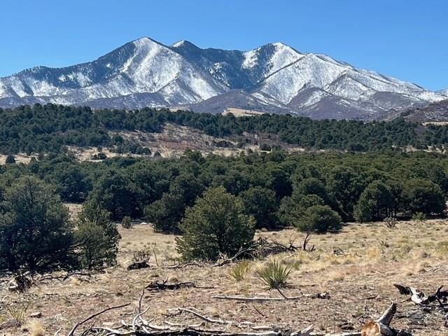 3 B Majors Ranch Road Walsenburg, CO 81089 - Photo 3 of 54