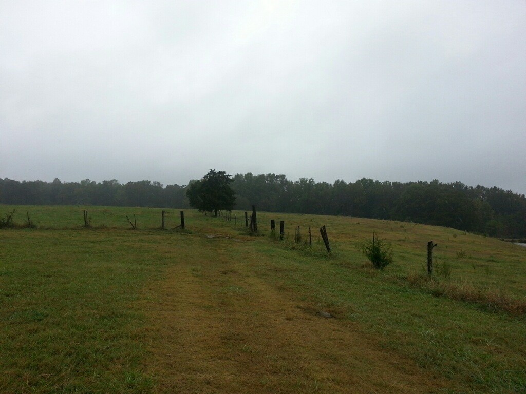 2 Gene Forrester Road Iva, SC 29655 - Photo 1 of 4