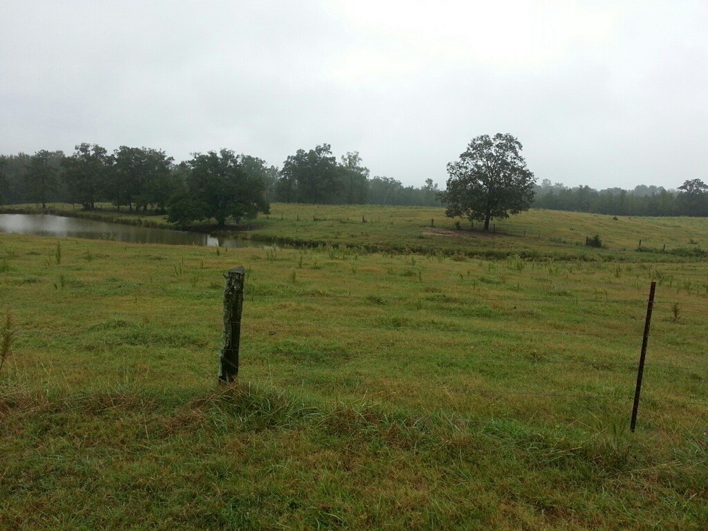 2 Gene Forrester Road Iva, SC 29655 - Photo 2 of 4