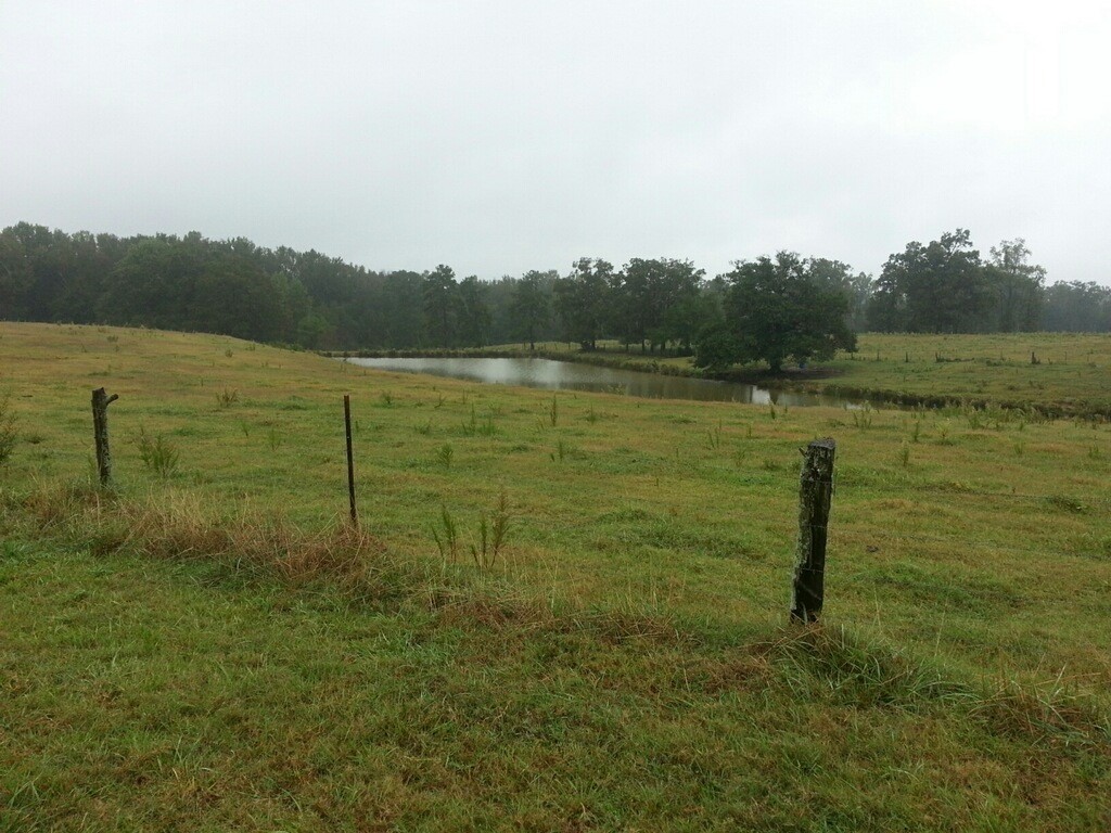 2 Gene Forrester Road Iva, SC 29655 - Photo 3 of 4